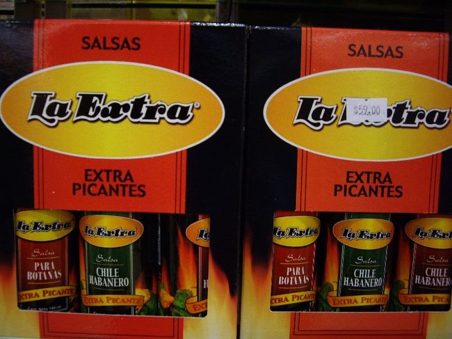 サルサソースや、