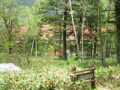 さて、シャトルバスに乗りこみ、沢渡の駐車場へ戻ることに。

車窓に見える上高地帝国ホテル