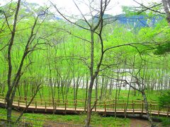 そして雨も降り出しましたが、大正池沿いの散策路

お天気イマイチでも、大正池はいい雰囲気ですね。

そしてこの大正池をぬけると、上高地エリアとはお別れです。