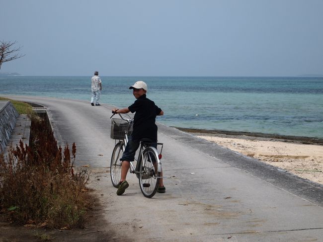 10時頃、『備瀬のフクギ並木』に到着。<br />レンタサイクル(300円)を３台借りて、並木道を走ります。<br />幼児の座席付きのママチャリもあったので良かったです。<br />ただ、蚊が多いので、要・虫よけスプレーです(笑)。<br /><br />並木道を突き当たると、海岸に出ます。<br />潮が引いてたら熱帯魚が見れるのですが、まだ時間が早すぎました。<br />帰りは海岸線を走るので、景色は最高です♪