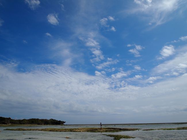 今日の干潮は14時頃だったので、かなり遠くまで<br />歩いて行けました。<br />小さなエビや、カニ、ヤドカリなど、たくさん見れました。