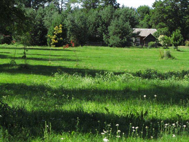 心やすらぐ牧歌的な景色