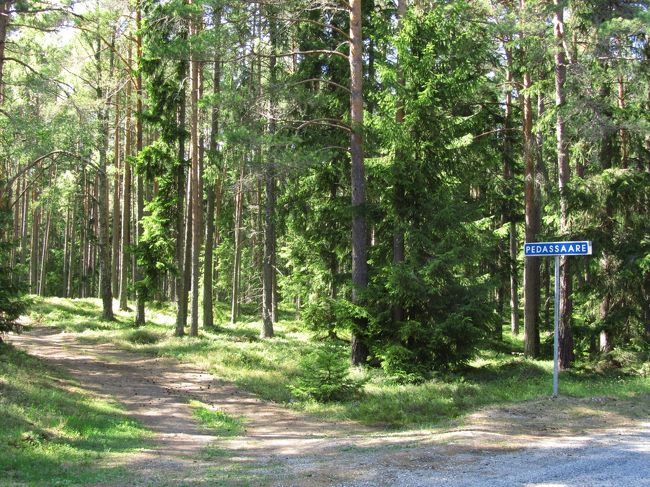 ペダサーレ村の看板と、舗装されていない脇道<br /><br />こういう脇道を入った先の中には、フォークロア彫刻公園があるとおぼしきところもありました。<br />でも、寄り道している時間があるか怪しかったし、なにより道に迷うことを恐れて、そういう脇道には寄り道しませんでした。<br />ツアーメンバーの中には松林から少し外れてビーチまで足を伸ばした人もありました。<br />彫刻公園は、残念だったな〜。<br /><br />という思いがあったのですが、この気持ちは２ヶ月後の2010年９月の極東ロシア旅行のときにリベンジできました。<br />もちろん見逃した彫刻とは違うでしょう。<br />でも、森林の中のフォークロアな彫刻群というところは共通していたに違いありません。<br /><br />関連の旅行記<br />「2010年秋ふらっと極東ロシアへ４泊３日の旅第４日目（1）ハバロフスク：ディナモ公園とロシア民話のトーテムポール」<br />http://4travel.jp/traveler/traveler-mami/album/10519605/<br />