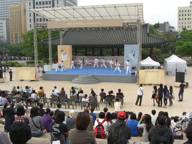 テコンドウーのショーをしていました。<br /><br />どういう物なのかなぁ〜？とジッと見ていたら、技と力強さに感動しました。<br />ここまでするなら、鑑賞料金取ればいいのに…<br /><br />アクロバット的な板割りをするたびに歓声がおこり、見応えがあります。<br />是非、訪韓されるならこのショーを見て欲しいです。<br />