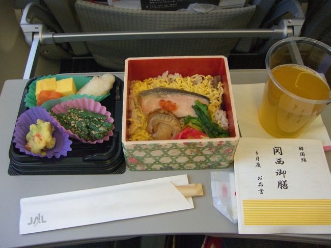 ＳＥＯＵＬ／ＧＩＭＰＯ　ＪＬ９７２　１２：３５発　<br /><br />　↓<br />ＯＳＡＫＡ／ＫＡＮＳＡＩ　１４：２０着<br /><br /><br />１０回目の韓国はひたすら歩いてばかりでしたが楽しく、<br />新発見できました。<br />まだまだ知らない韓国なのでまた来たいです(^O^)／<br /><br />