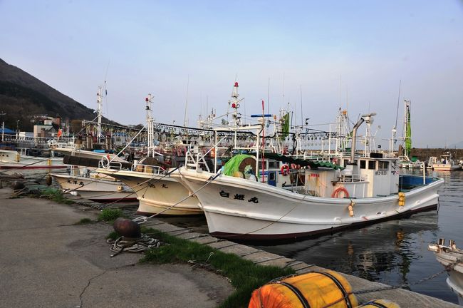 花と夜景の函館 7 朝の函館港 函館 北海道 の旅行記 ブログ By 気まぐれなデジカメ館さん フォートラベル