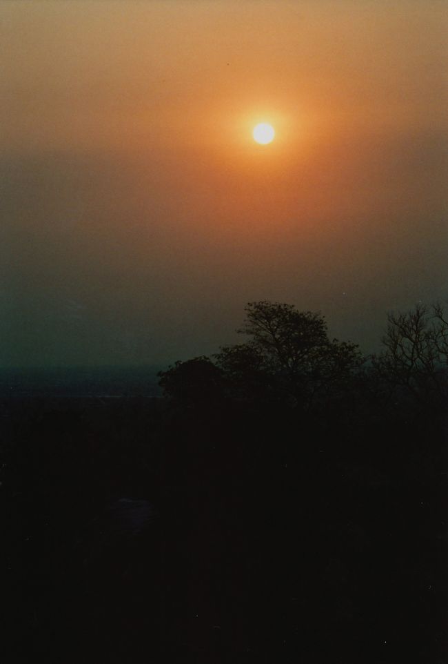 無事見ることができ