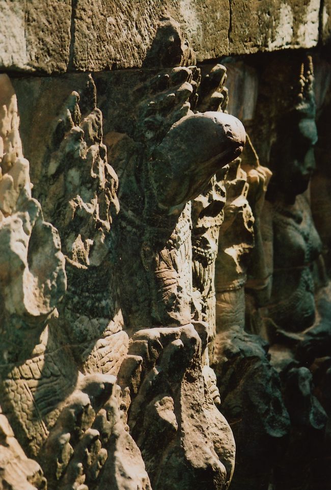 いちいち感動しながら