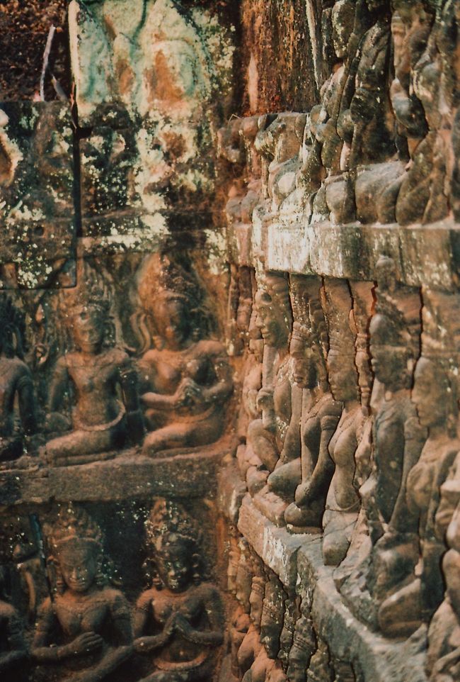 見て回っていた。