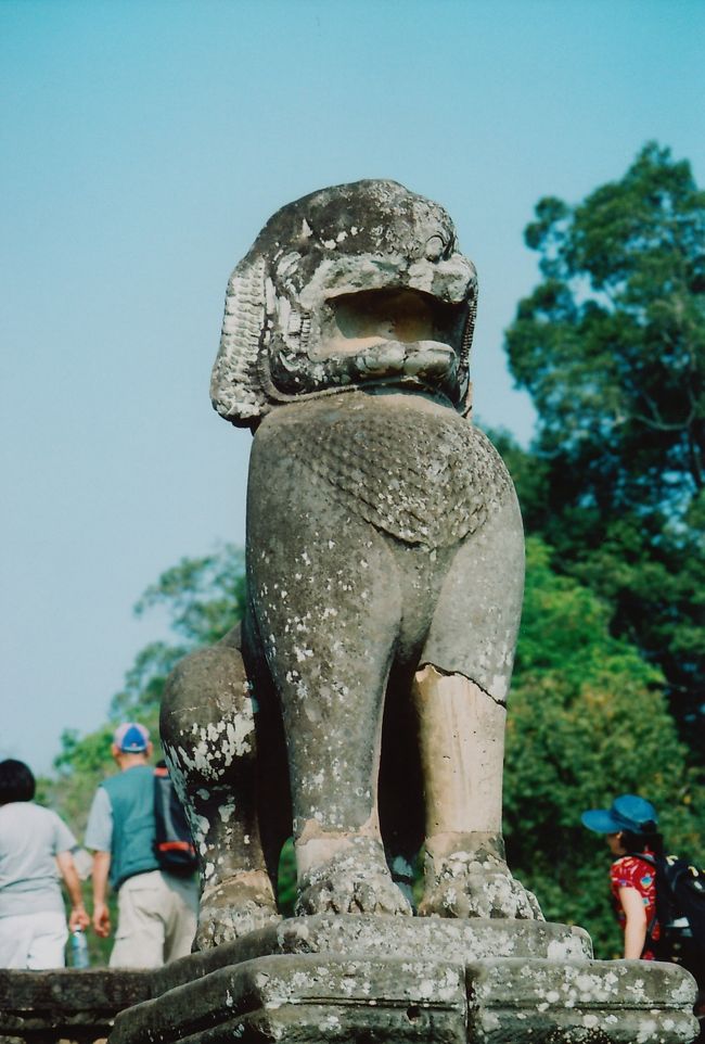 全部に意味があるのだろうけど、よく理解できてないのが、もったいない。