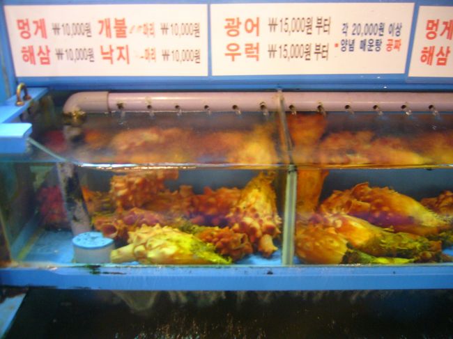 これが何かはわからんかった。