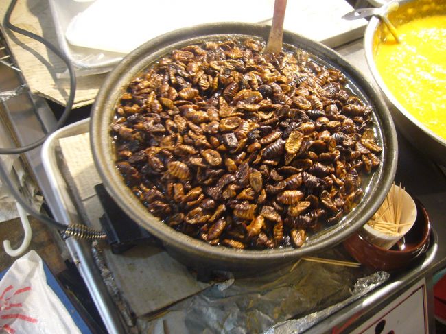 ポンデギ。おえ