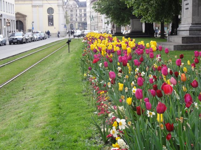 綺麗だったので