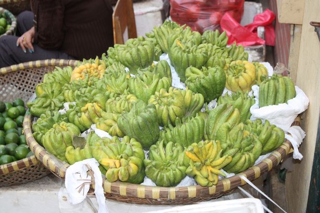 何これ！？（１）