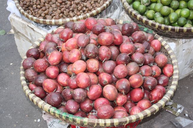 何これ！？（２）