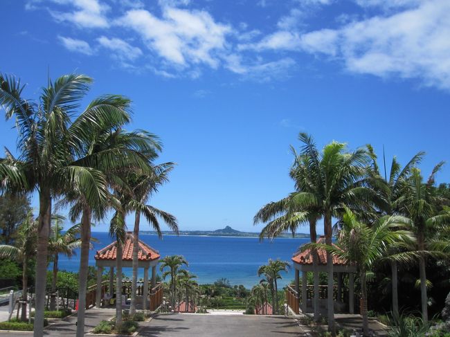 沖縄〜って感じです。<br />晴れていると本当にいいですね。<br />写真もバシバシ撮りたくなります。