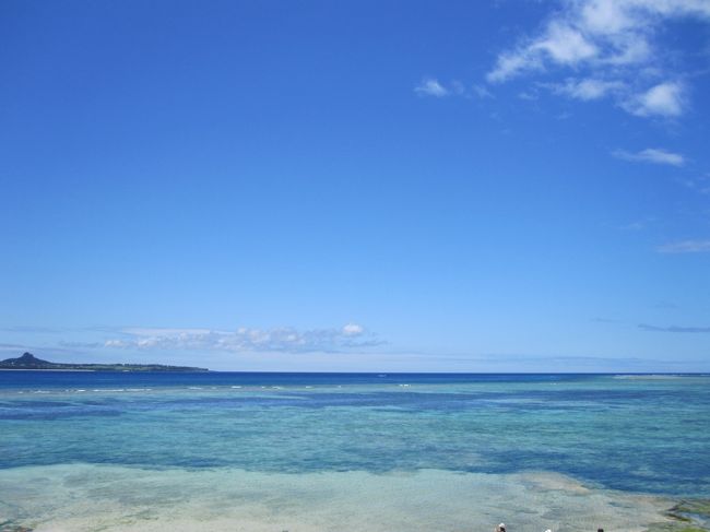 癒されますね〜。