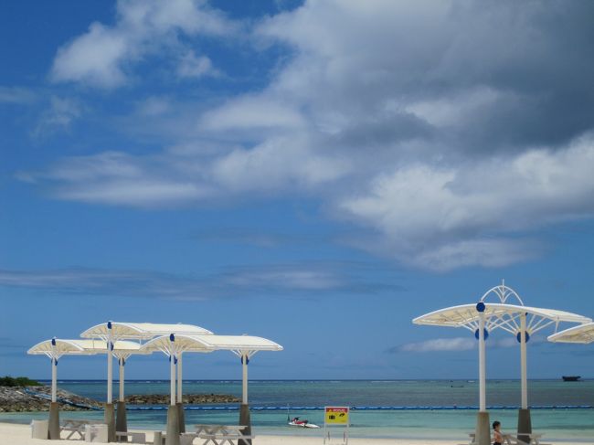 もう夏ですね。<br />本当に眩しくて、サングラスを持ってなかったので長くは居られませんでしたが、きれいなビーチでした。<br />喉が渇いたので自販機でシークワーサージュースを買います。<br />ちゅら海に来ると、なぜかいつもシークワーサージュースが飲みたくなるんです。