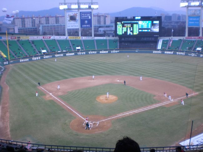 野球観戦です。簡単にチケットも手に入りました。