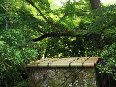 庭園へ向かう前に要チェック。

■夕日の清水
玄関前にある「夕日の清水」は，意外と見落としがちです。
閼伽井であり，清涼寺の釈迦如来像の御身払い(4月19日)では浄水として使われています。