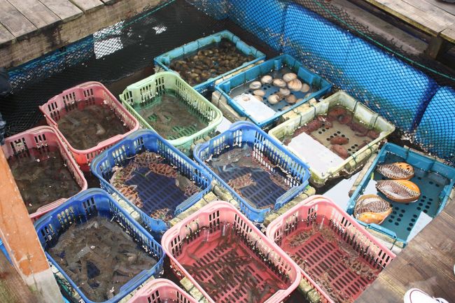 そこでは、ハロン湾で捕れた海産物が。