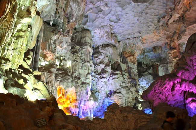 色んな色でライトアップしてるけど