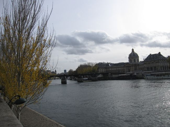 紅葉は終わりかけ<br /><br />