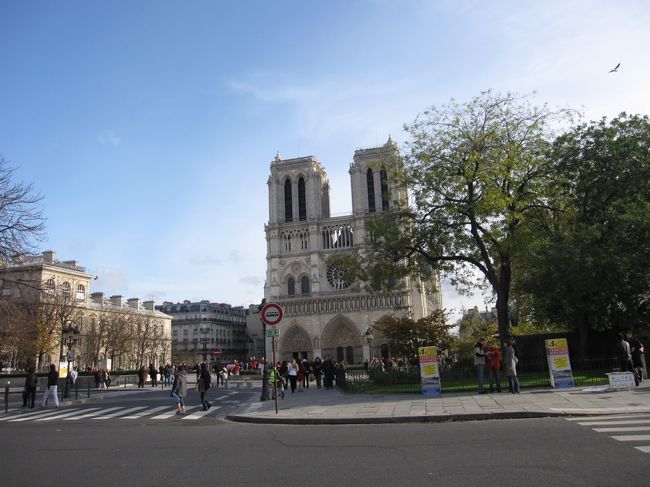 シテ島　ノートルダム寺院でございます<br /><br />