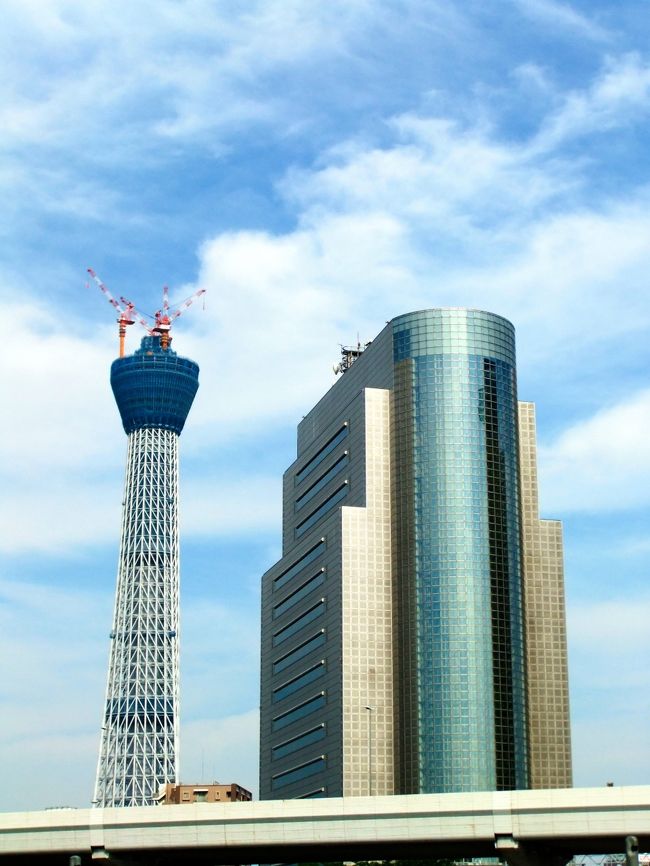 スカイツリータウンは31階建てだそうです