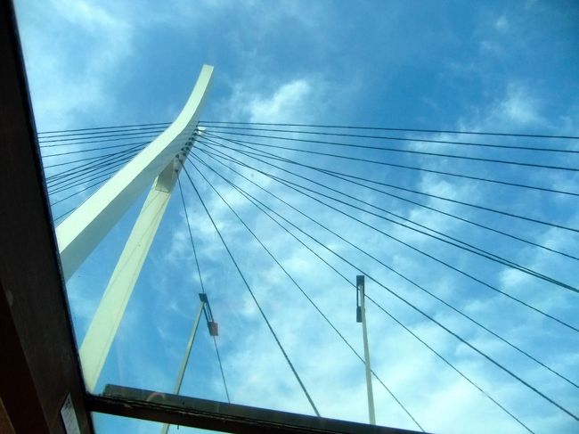 ■その10　中央大橋<br /><br />構造形式：二径間連続鋼斜張橋 <br />橋長：210.7m <br />幅員：25.0m <br />竣工：1993年（平成5年）8月26日<br /><br />美しい近代的な橋！と思ったら、隅田川とセーヌ川は友好河川だそうで、この橋のデザインはフランスのデザイン会社に依頼したんだそうです<br /><br />全体像が撮れなかったのが残念(T_T)