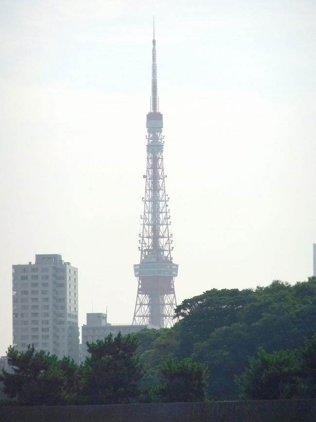 東京タワーが見えて来ました