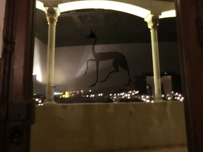 夜も頑張ってガラスに張り付いています。