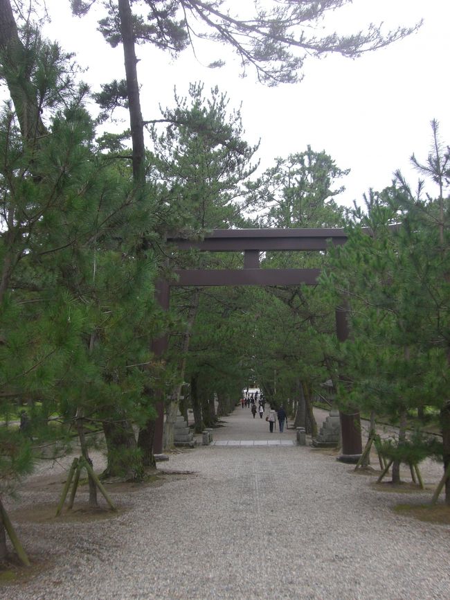 この日は曇り空でしたがしっかり歩くと暑かったです。