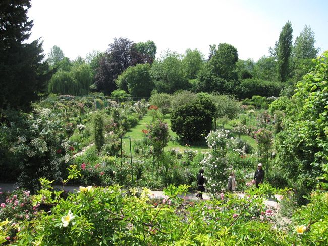 モネの家の2階からの庭園