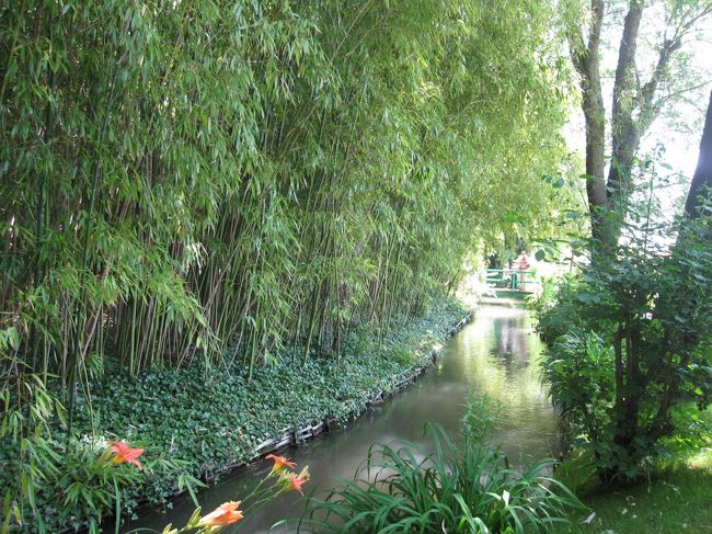 竹藪もあります