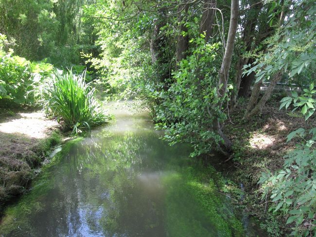 バス停の向かう道の途中の小川