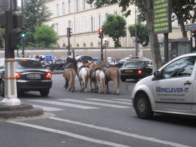 タクシー内から見かけたお馬さんたち<br /><br />ワールドカップ　瀬戸際のフランスチームの試合直前に空港に向かいます<br /><br />途中　凱旋門の向こうに大きな国旗が風になびいてました<br /><br />Velib' もトラックの荷台へどんどん積まれていき　パリの街は厳戒態勢<br /><br />さよならParis 　また会う日まで<br /><br />