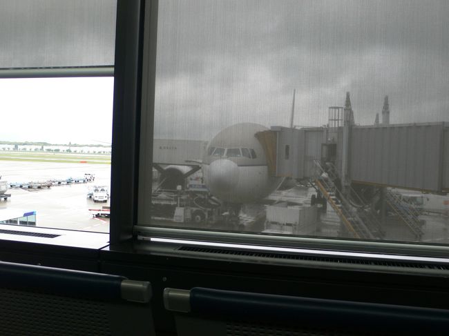 今日乗る飛行機。