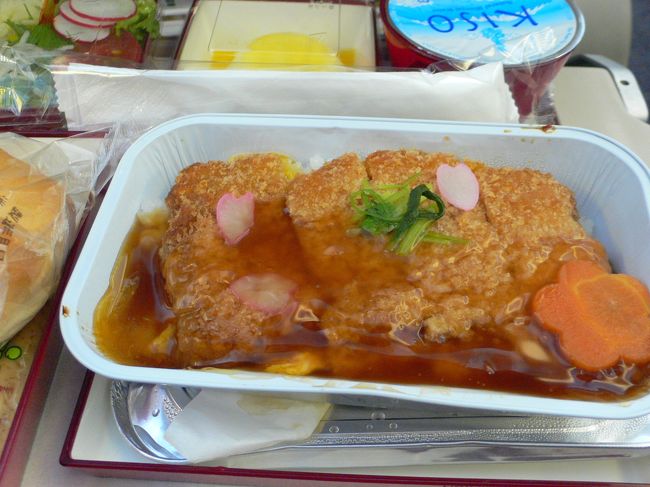 機内食は選択肢なしのカツ丼でした。まあまあ。