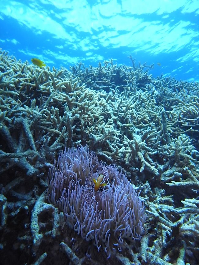 なんとなく、自分で気に入ってる写真。