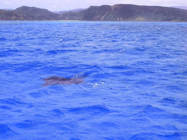 実はこんな出会いもあったのです。<br />じゃじゃ〜ん♪