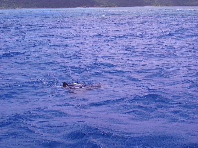 これは島の西側を走行中の船上より。