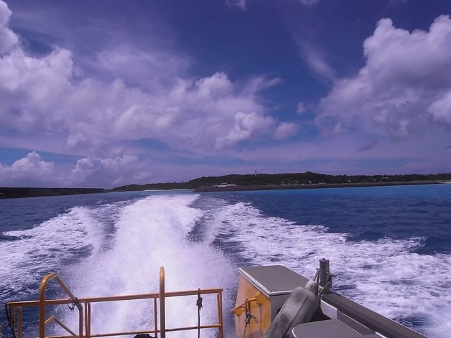 北の方のポイントで、小物達観察の合い間には、あの瑠璃の島こと鳩間島でお昼のお弁当食べましたよ〜<br /><br />島がなんとも素朴。