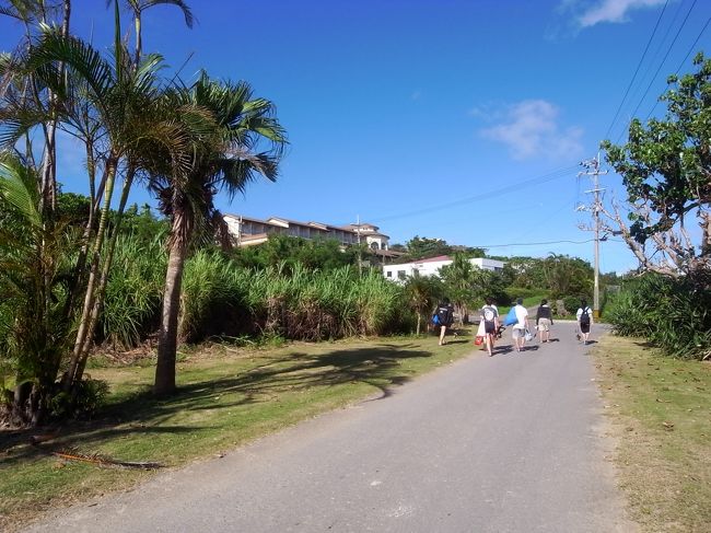 よかったよかった。