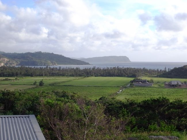 歩いて片道30分のところにある親川スーパーまで散歩してみましたが、滝汗かきました。<br />お菓子とかお酒とか、石垣で多めに買ってくるべきでしたね・・・<br /><br />ダイビングがのんびり系だったから、散歩はいい運動になりましたけど。