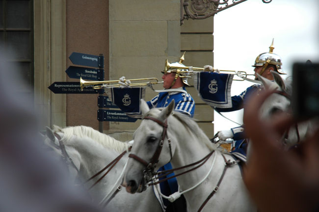 騎馬隊は珍しいとのことで、ラッキーだったです