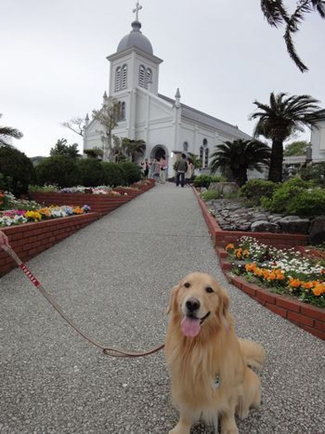 11gw 旅犬つばさが行く九州 キリシタンの里 熊本城 天草諸島 熊本県 の旅行記 ブログ By Ayaさん フォートラベル
