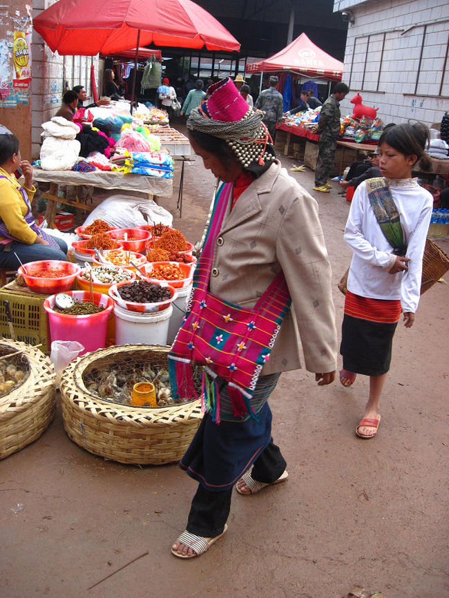 ひよこをチェックしながら通る親子。