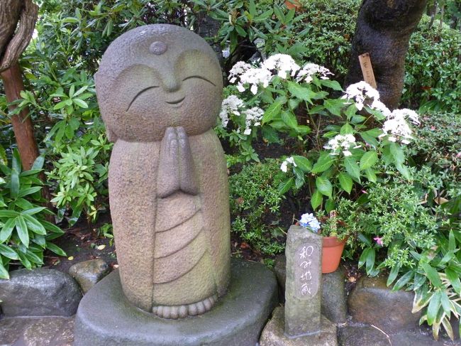 癒されるお顔です。