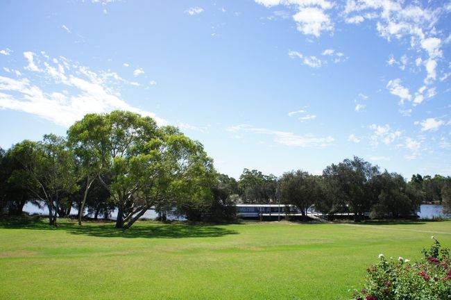 川岸につくクルーザーです。